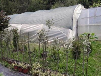 Mahir Delibašić: Moje višegodišnje ulaganje i mukotrpan rad se na kraju isplatio