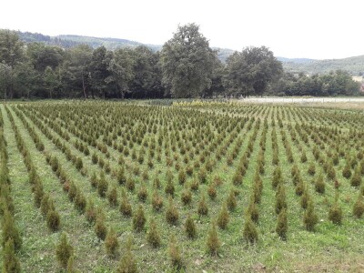 Mahir Delibašić: Moje višegodišnje ulaganje i mukotrpan rad se na kraju isplatio