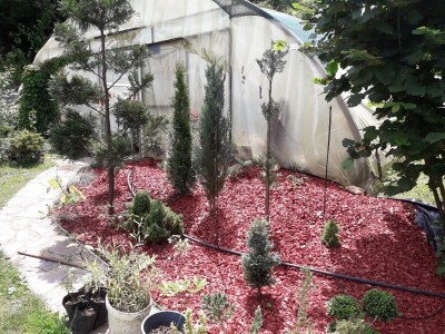 Mahir Delibašić: Moje višegodišnje ulaganje i mukotrpan rad se na kraju isplatio