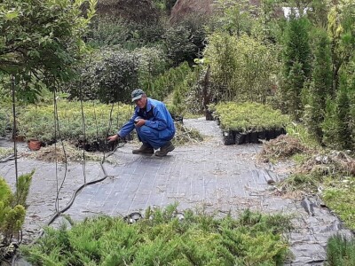 Mahir Delibašić: Moje višegodišnje ulaganje i mukotrpan rad se na kraju isplatio