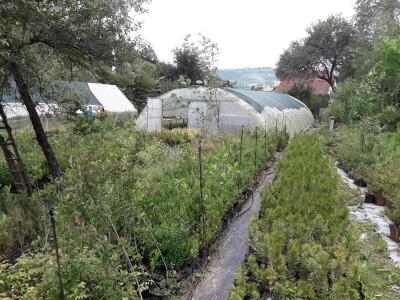 Mahir Delibašić: Moje višegodišnje ulaganje i mukotrpan rad se na kraju isplatio