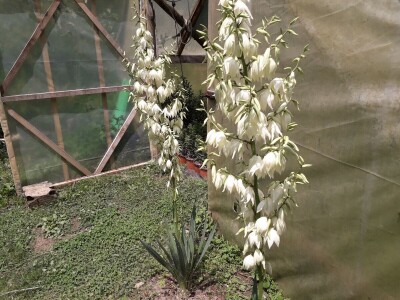 Mahir Delibašić: Moje višegodišnje ulaganje i mukotrpan rad se na kraju isplatio