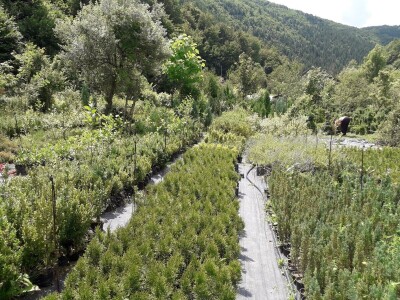 Mahir Delibašić: Moje višegodišnje ulaganje i mukotrpan rad se na kraju isplatio