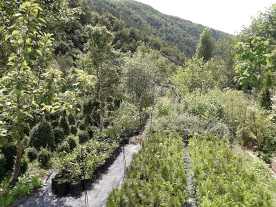 Mahir Delibašić: Moje višegodišnje ulaganje i mukotrpan rad se na kraju isplatio