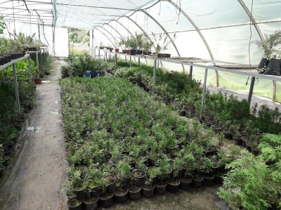 Mahir Delibašić: Moje višegodišnje ulaganje i mukotrpan rad se na kraju isplatio