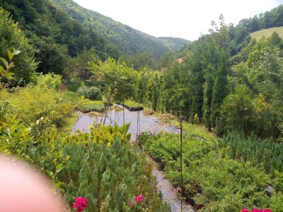 Mahir Delibašić: Moje višegodišnje ulaganje i mukotrpan rad se na kraju isplatio