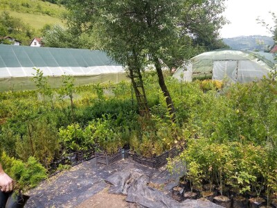 Mahir Delibašić: Moje višegodišnje ulaganje i mukotrpan rad se na kraju isplatio