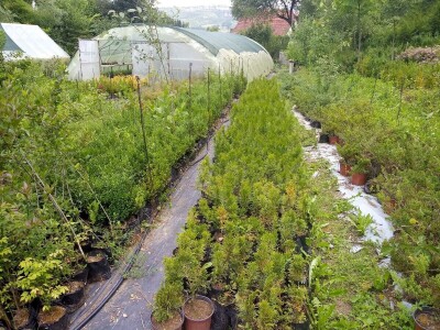 Mahir Delibašić: Moje višegodišnje ulaganje i mukotrpan rad se na kraju isplatio