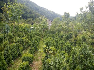 Mahir Delibašić: Moje višegodišnje ulaganje i mukotrpan rad se na kraju isplatio