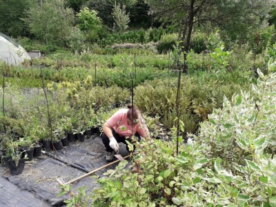 Mahir Delibašić: Moje višegodišnje ulaganje i mukotrpan rad se na kraju isplatio