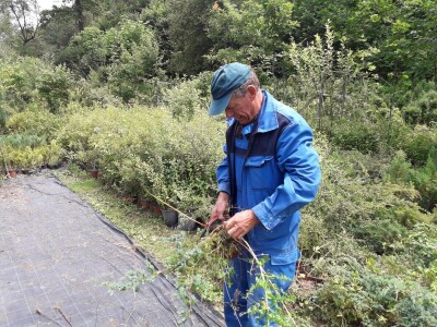 Mahir Delibašić: Moje višegodišnje ulaganje i mukotrpan rad se na kraju isplatio