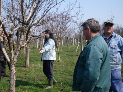 Maja Martinov, PSS Zrenjanin