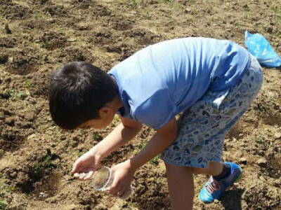 I najmlađi stječu radne navike