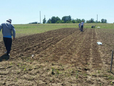 Suradnja sa 16 koooperanata