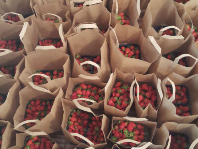 U prodaji Zdrave logike i jagode