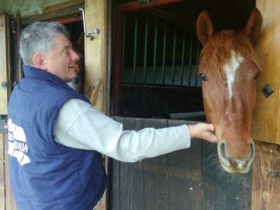 Osjećaju ljudske emocije