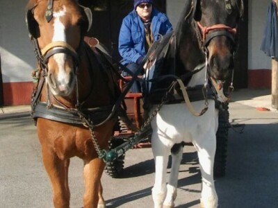 Dobri i za seoski turizam