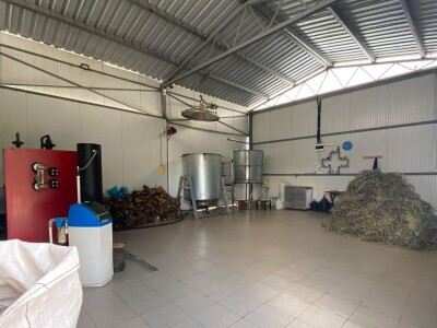 Majka i ćerka uzgajaju lekovito bilje i proizvode eterična ulja