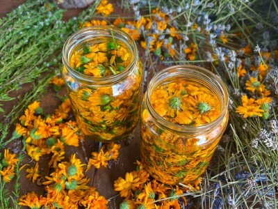 Majka i ćerka uzgajaju lekovito bilje i proizvode eterična ulja