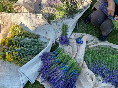 Majka i ćerka uzgajaju lekovito bilje i proizvode eterična ulja