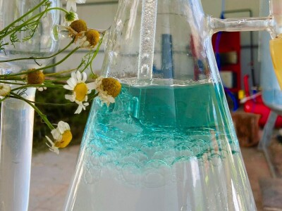 Majka i ćerka uzgajaju lekovito bilje i proizvode eterična ulja