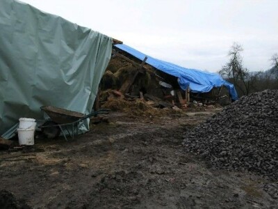 Majske Poljane - Teta Beta