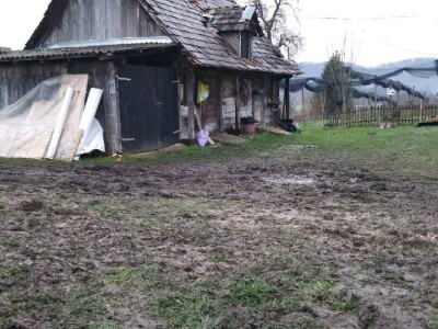 Majske Poljane - Teta Beta