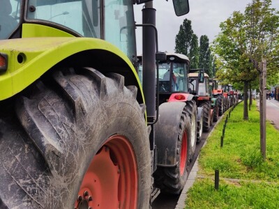 Majski protesti u Novom Sadu