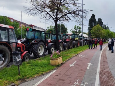 Majski protesti u Novom Sadu