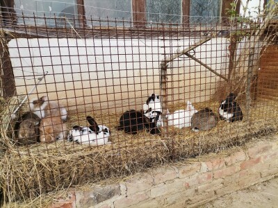 Mala farma Smet u Zenici