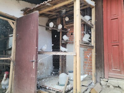 Mala farma Smet u Zenici