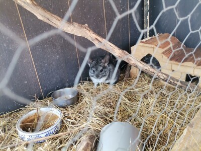 Mala farma Smet u Zenici