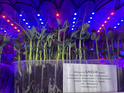 Mala tvornica mikropovrća u oblacima Mala tvornica mikropovrća u oblacima