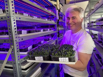 Mala tvornica mikropovrća u oblacima Mala tvornica mikropovrća u oblacima