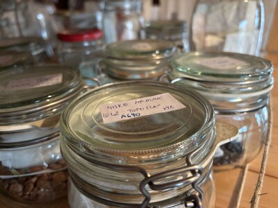 Mala znanost u skupljanju i čuvanju sjemena Mala znanost u skupljanju i čuvanju sjemena