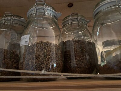 Mala znanost u skupljanju i čuvanju sjemena Mala znanost u skupljanju i čuvanju sjemena