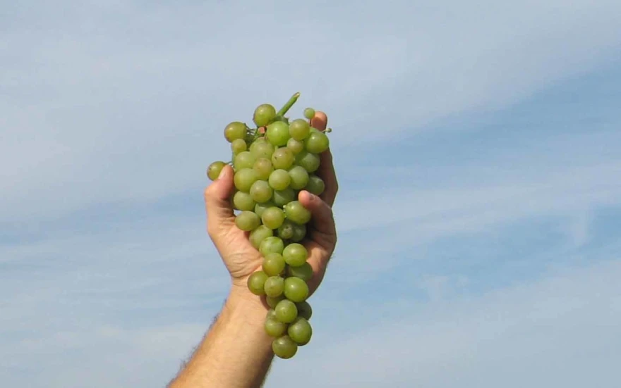 Malaga