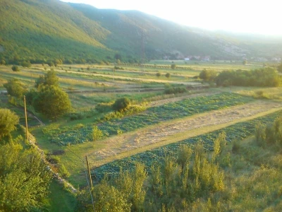Usitnjene parcele problem i u poljoprivrednoj ekološkoj proizvodnji Dalmacije