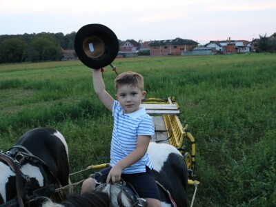 Mali Luka (3) priprema svatovsku zapregu za festivalsku povorku u Požegi