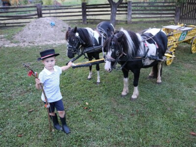 Mali Luka (3) priprema svatovsku zapregu za festivalsku povorku u Požegi