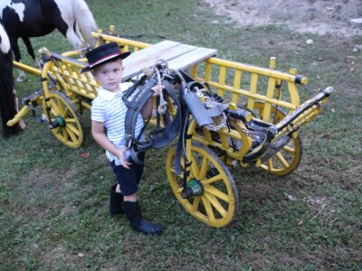 Mali Luka (3) priprema svatovsku zapregu za festivalsku povorku u Požegi