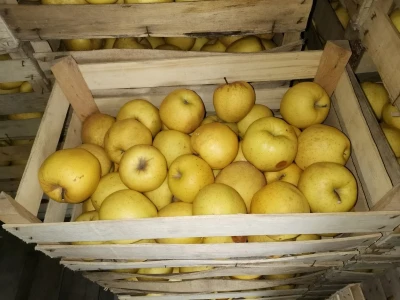 Mali proizvođači teško opstaju na tržištu