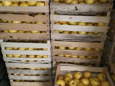 Mali proizvođači teško opstaju na tržištu