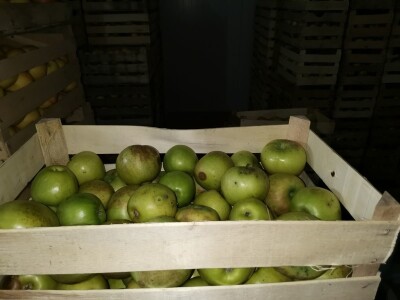 Mali proizvođači teško opstaju na tržištu