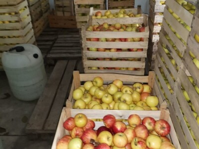 Mali proizvođači teško opstaju na tržištu