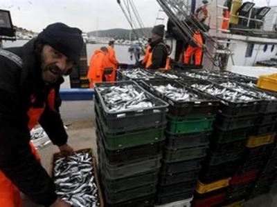 Mali ribari