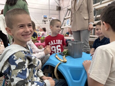 Mali vrtlari s velikim porukama