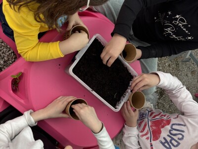 Mali vrtlari s velikim porukama