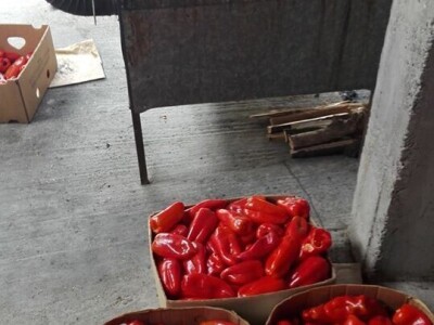 Malim proizvođačima potrebno više sredstava iz Fonda za razvoj