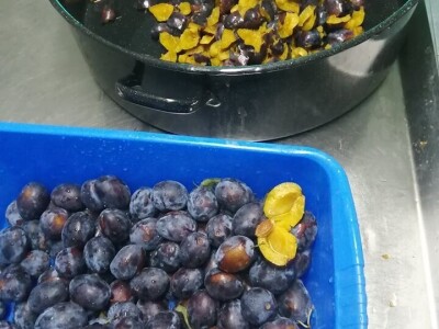 Malim proizvođačima potrebno više sredstava iz Fonda za razvoj